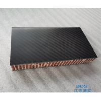 碳纖維泡沫夾芯板加工 博實碳纖維夾芯板規(guī)格齊全-