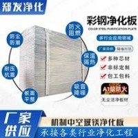 防火玻鎂夾芯彩鋼板 潔凈室隔斷墻阻燃保溫板 機(jī)制中空玻鎂凈化板